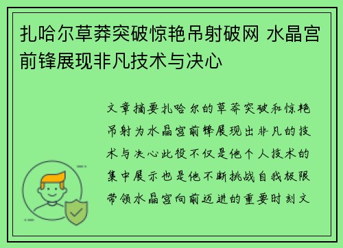 扎哈尔草莽突破惊艳吊射破网 水晶宫前锋展现非凡技术与决心