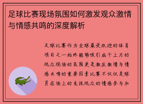 足球比赛现场氛围如何激发观众激情与情感共鸣的深度解析