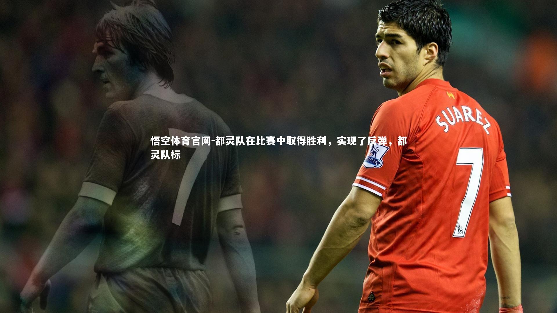 都灵队在比赛中取得胜利，实现了反弹，都灵队标
