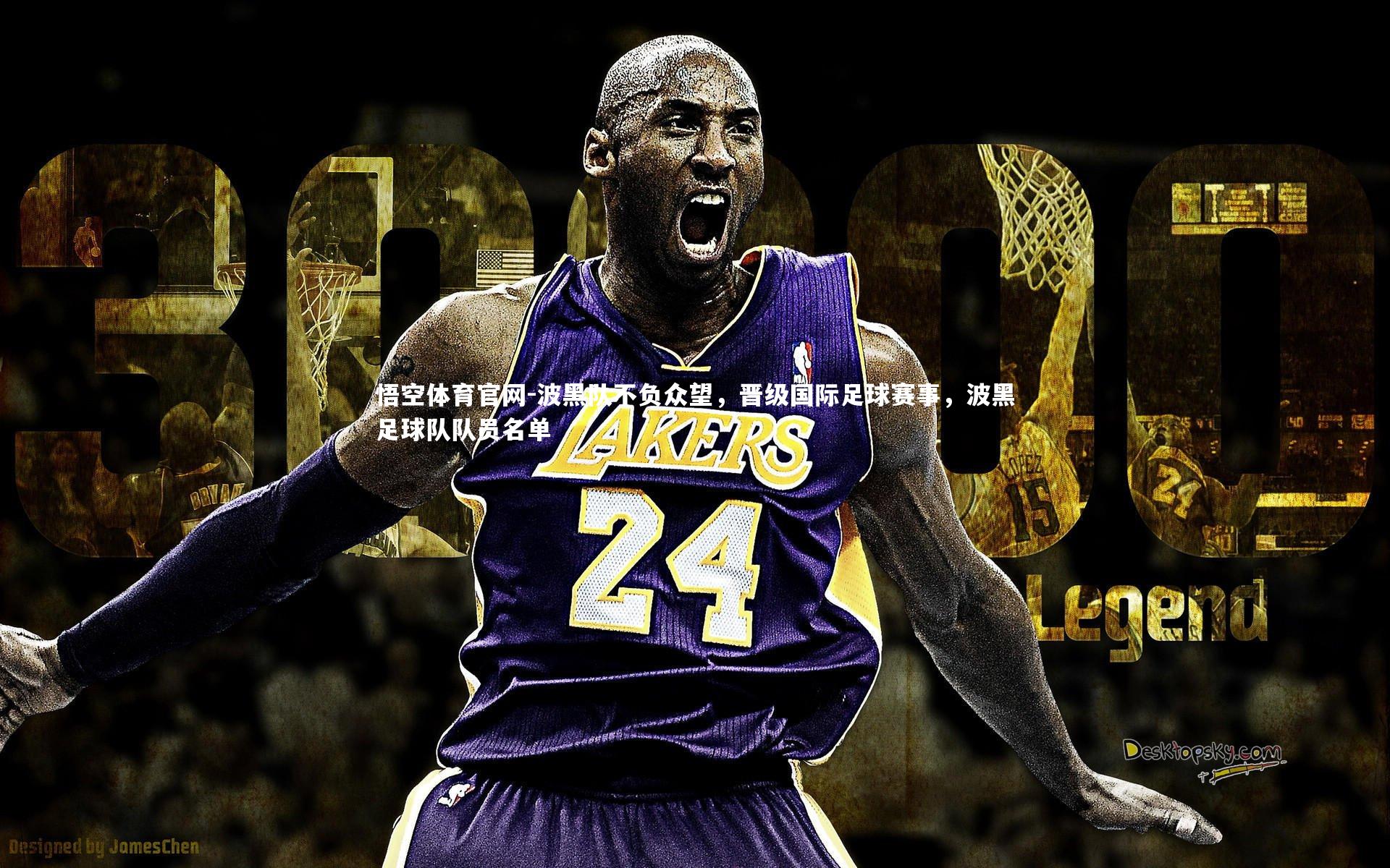 波黑队不负众望，晋级国际足球赛事，波黑足球队队员名单