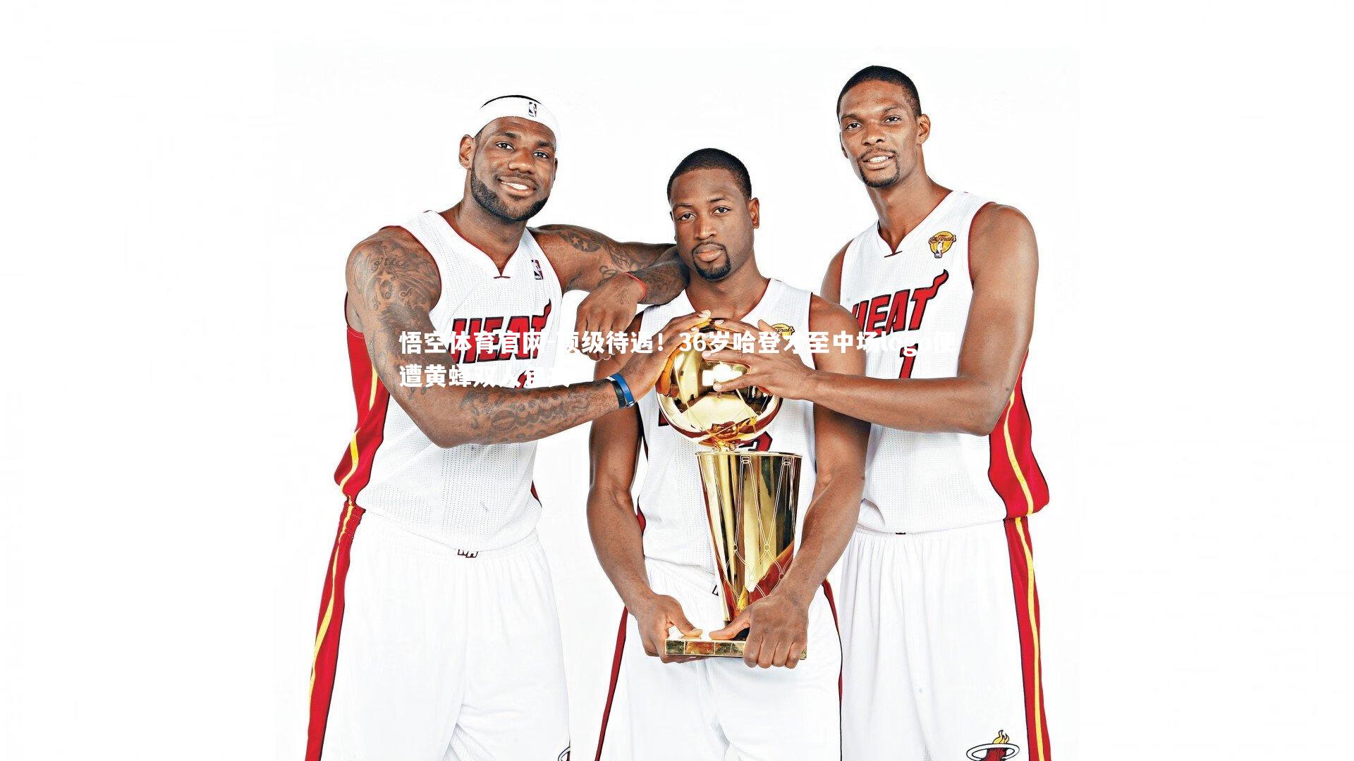 悟空体育官网-顶级待遇！36岁哈登才至中场logo便遭黄蜂双人包夹