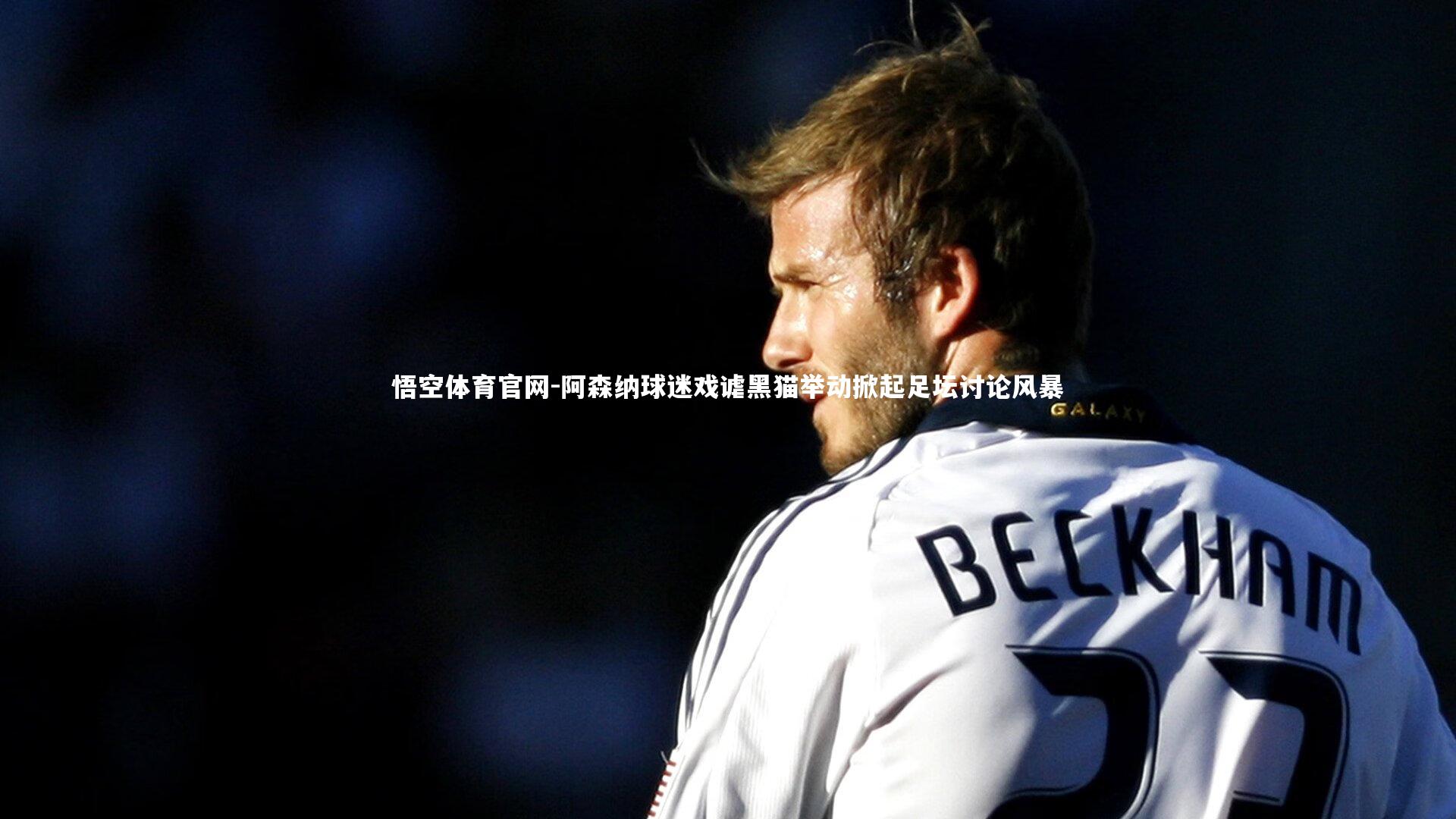 阿森纳球迷戏谑黑猫举动掀起足坛讨论风暴